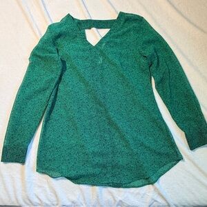 CAbi Green Blue vine patterned Long Buttoned Sleeve Top:Sheer